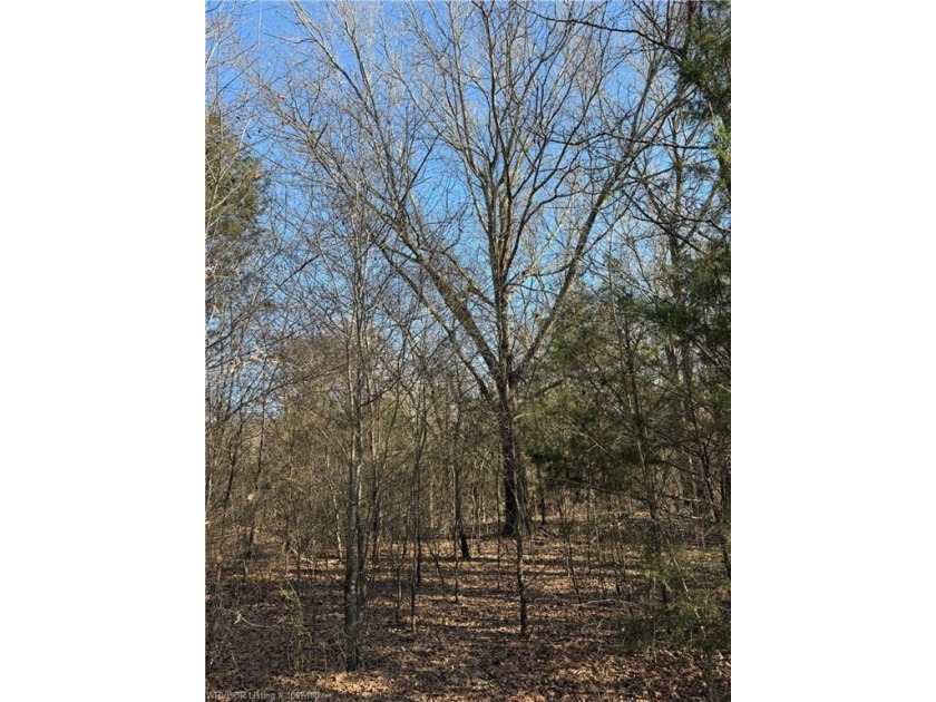 Discover 28 acres of opportunity just outside Keota near - photo 21