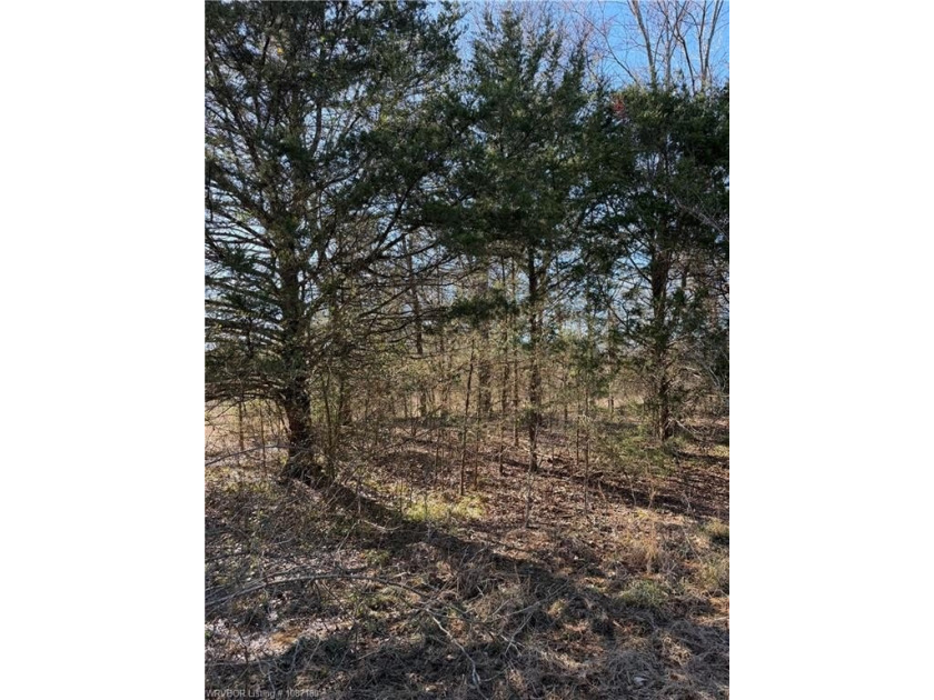 Discover 28 acres of opportunity just outside Keota near - photo 23