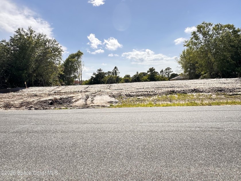Brand New Custom Construction | 4-Car Garage | .41 Acre Lot | - photo 16