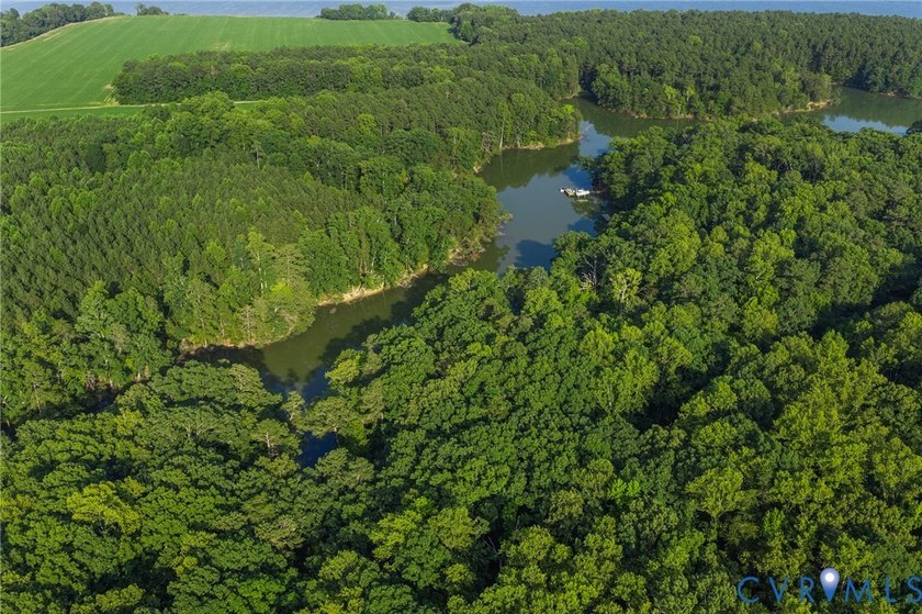 Waterfront Opportunity - 3 Lots Total (1.77 Acres)! Professional - photo 17