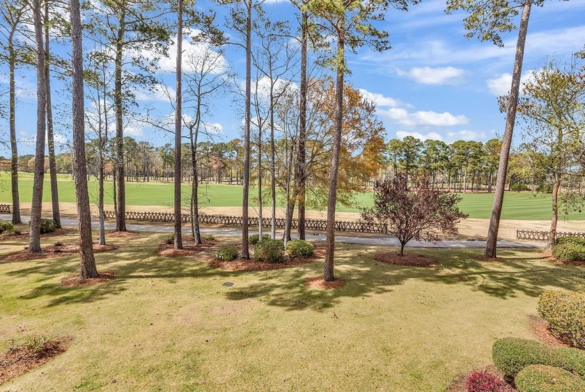 Welcome to 108 Cypress Point Ct., a gem nestled in the heart of - photo 28
