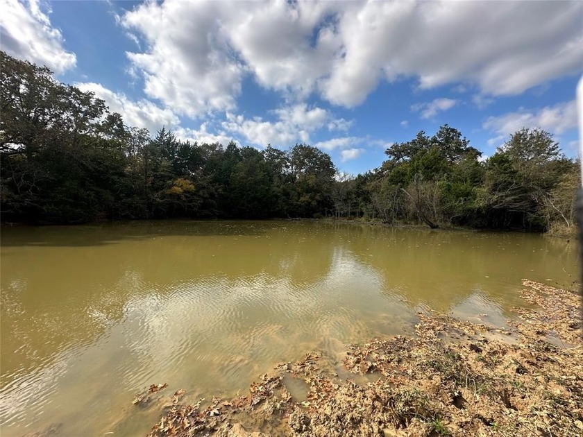 Gorgeous Large Oak Trees on this 90 Acre Ranch with Utilities - photo 23
