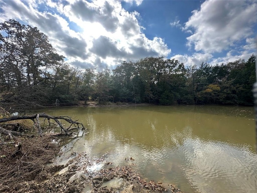 Gorgeous Large Oak Trees on this 90 Acre Ranch with Utilities - photo 24