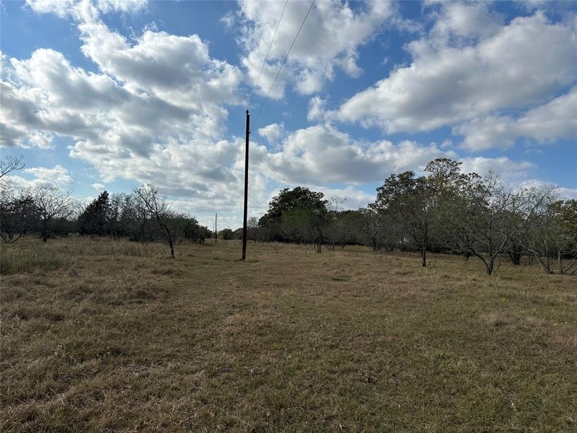 Gorgeous Large Oak Trees on this 90 Acre Ranch with Utilities - photo 29