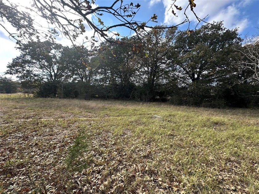 Gorgeous Large Oak Trees on this 90 Acre Ranch with Utilities - photo 32