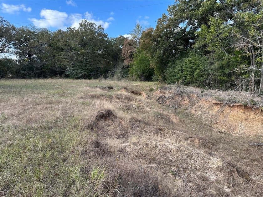 Gorgeous Large Oak Trees on this 90 Acre Ranch with Utilities - photo 36