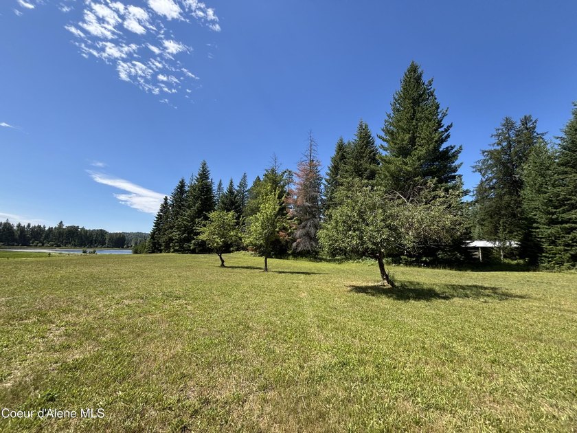 Delightful lakeside cabin on Idyllic 4.9 acres with convenient - photo 36