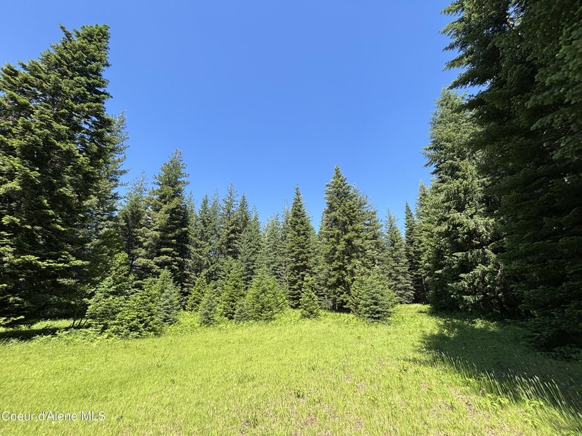 Delightful lakeside cabin on Idyllic 4.9 acres with convenient - photo 40