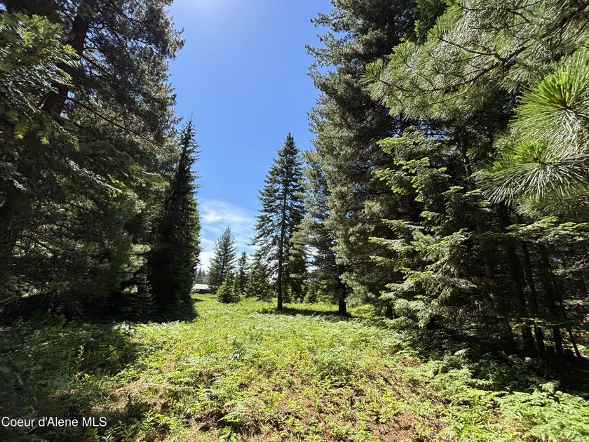 Delightful lakeside cabin on Idyllic 4.9 acres with convenient - photo 41