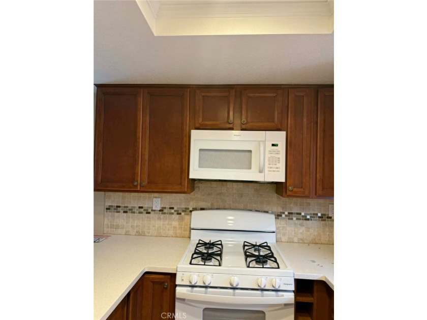 424 Cabo San Jose - photo 6