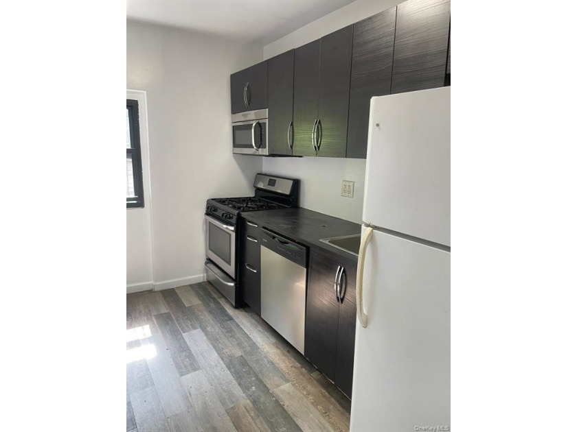 Large brick fully renovated multi family in the Longwood section - photo 2