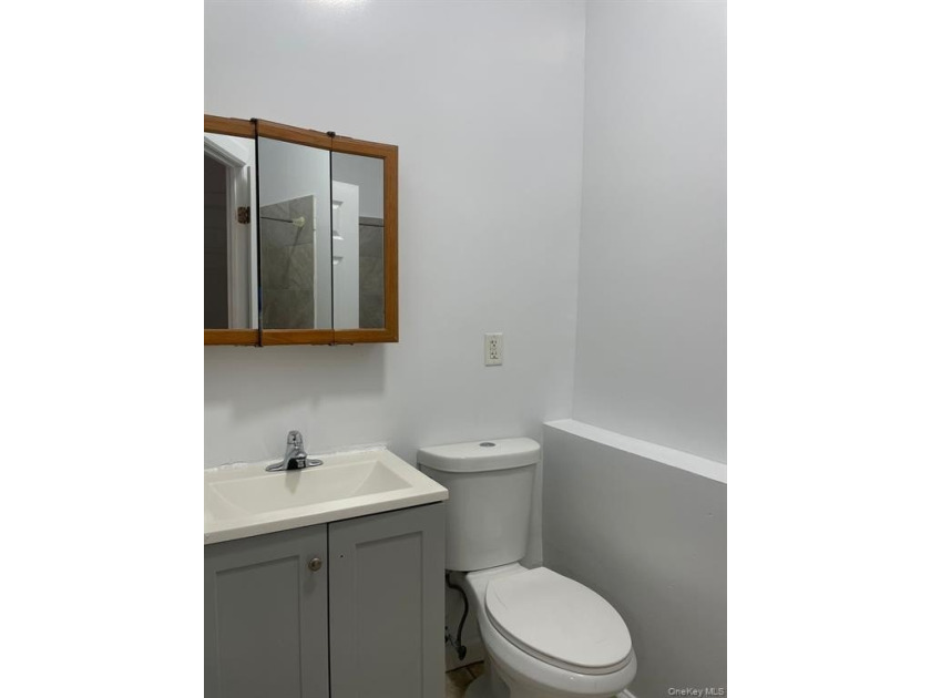 Large brick fully renovated multi family in the Longwood section - photo 8