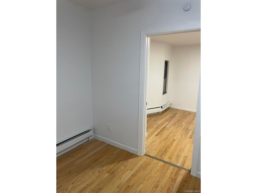 Large brick fully renovated multi family in the Longwood section - photo 10