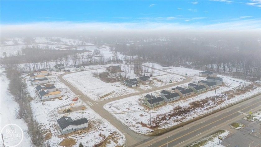 Fully developed site condominium in a great area with the - photo 11