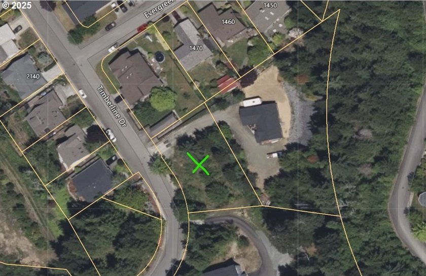 32 acres vacant lot in one of the most exclusive neighborhoods - photo 13