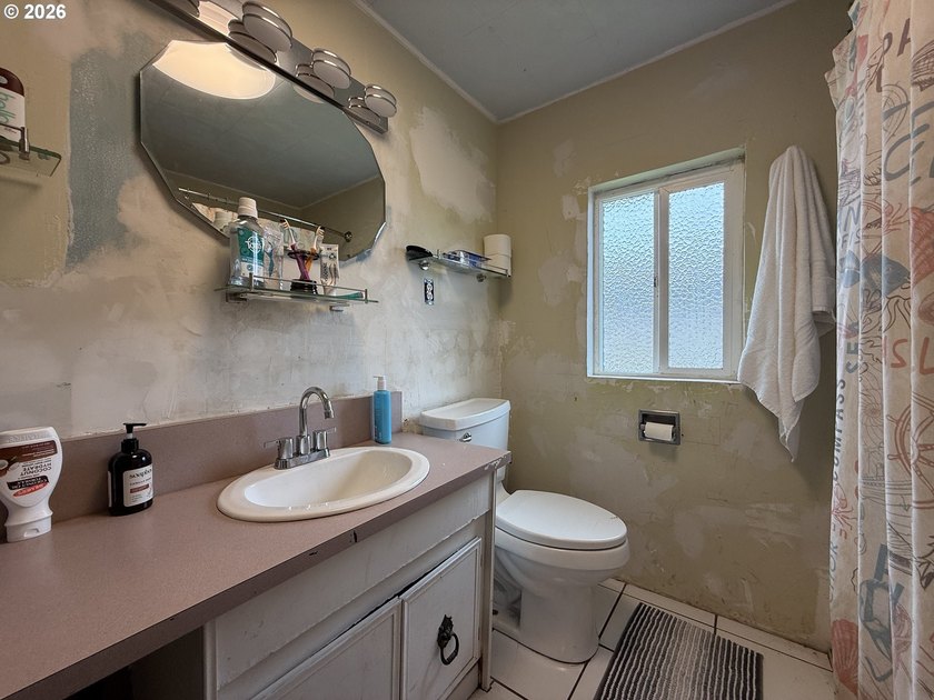 Rare Brookings Investment Opportunity! Two detached homes on one - photo 12