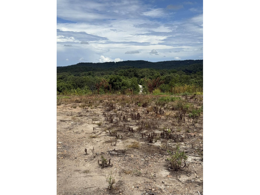 Prime building lot with beautiful mountain and Norfork river - photo 11