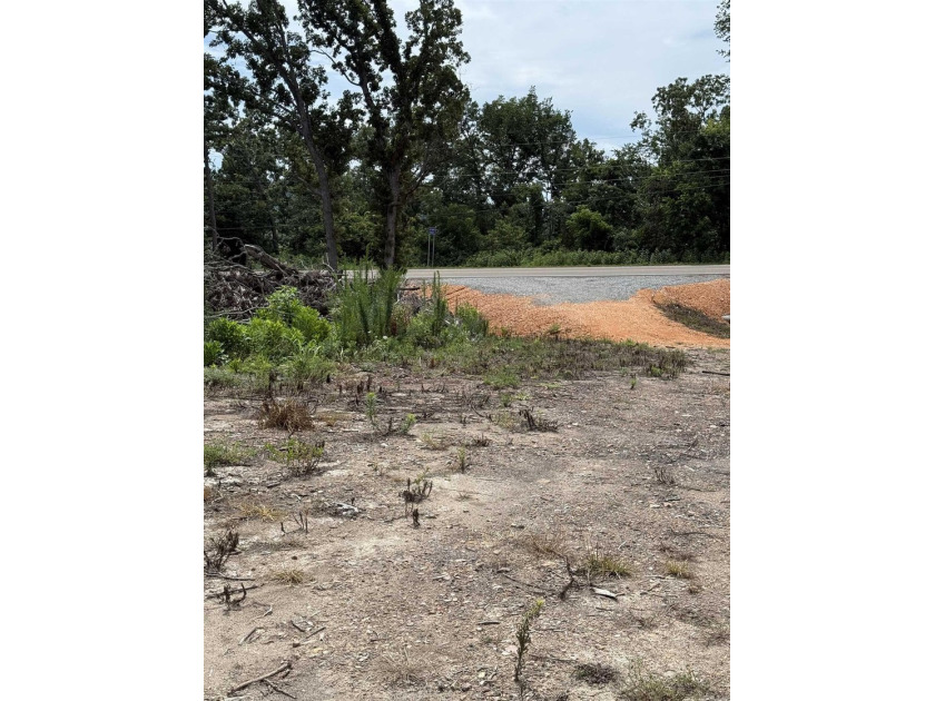 Prime building lot with beautiful mountain and Norfork river - photo 12