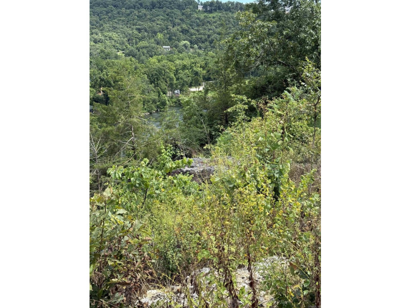 Prime building lot with beautiful mountain and Norfork river - photo 14