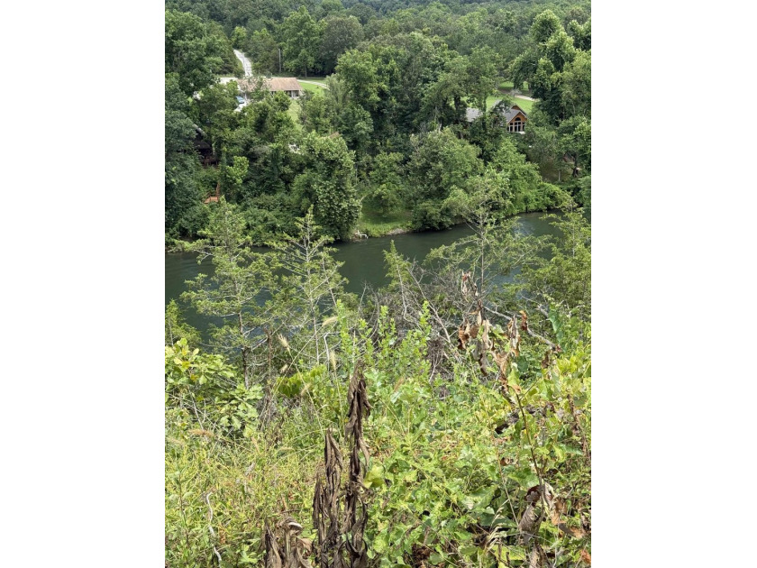 Prime building lot with beautiful mountain and Norfork river - photo 15