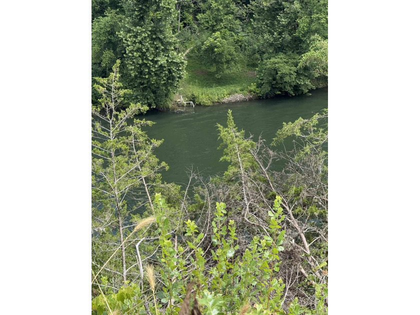 Prime building lot with beautiful mountain and Norfork river - photo 16