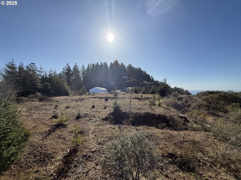 Don't miss this opportunjity. Vacant Lot with Spectacular Ocean - photo 12