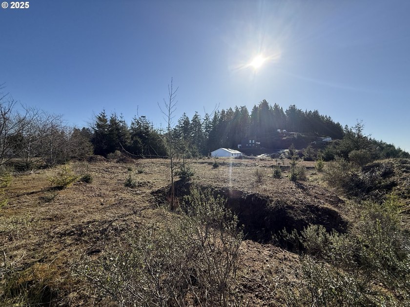Don't miss this opportunjity. Vacant Lot with Spectacular Ocean - photo 15