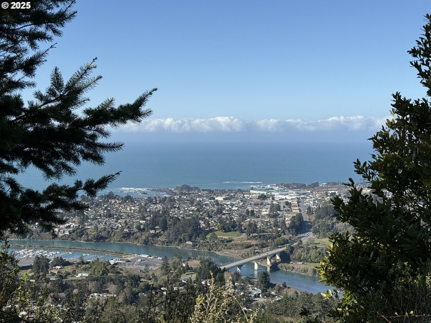 Don't miss this opportunjity. Vacant Lot with Spectacular Ocean - photo 16