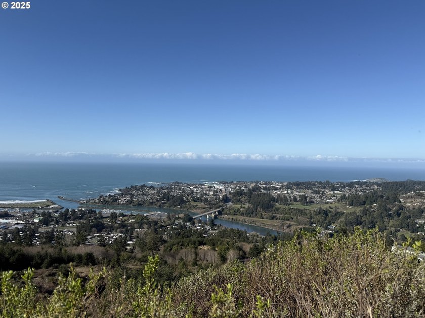 Don't miss this opportunjity. Vacant Lot with Spectacular Ocean - photo 17