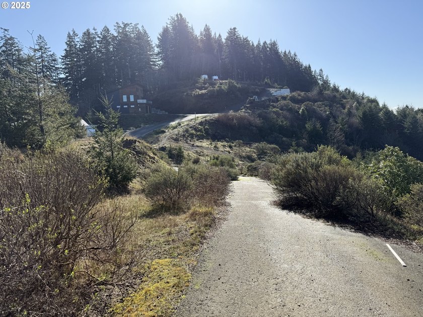 Don't miss this opportunjity. Vacant Lot with Spectacular Ocean - photo 22
