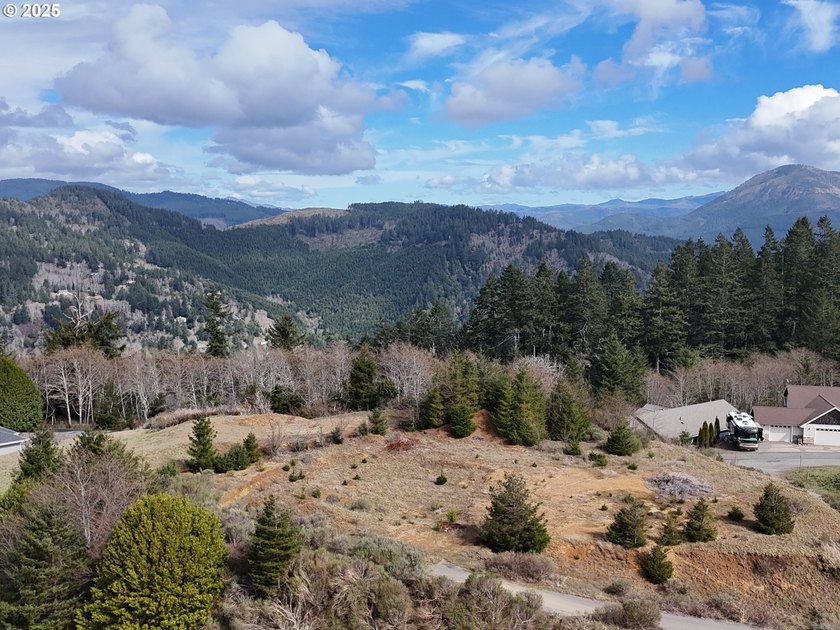 Don't miss this opportunjity. Vacant Lot with Spectacular Ocean - photo 23