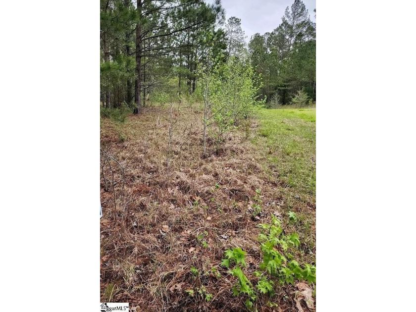 ***PRICE IMPROVEMENT----SELLERS ARE EAGER TO MOVE FORWARD - photo 3