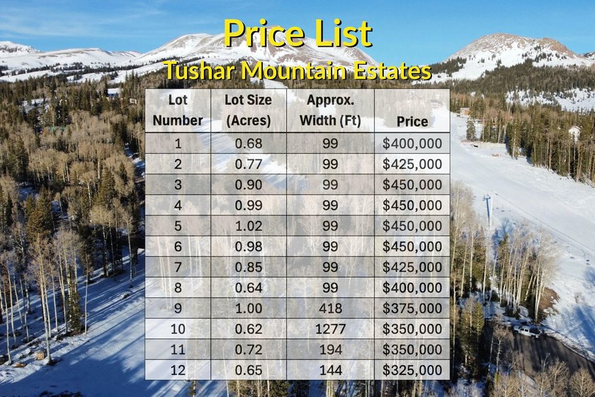 Tushar Mountain Estates, a limited reserve of just 12 custom - photo 4