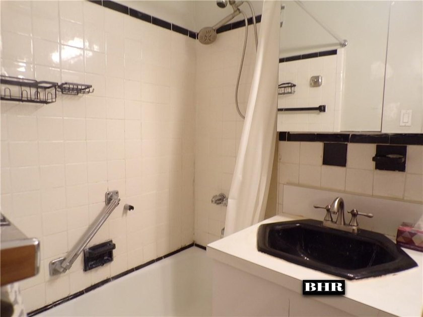 MARINE PARK/SHEEPSHEAD BAY. Spacious jr 4, 2-bedroom 1 bath - photo 14