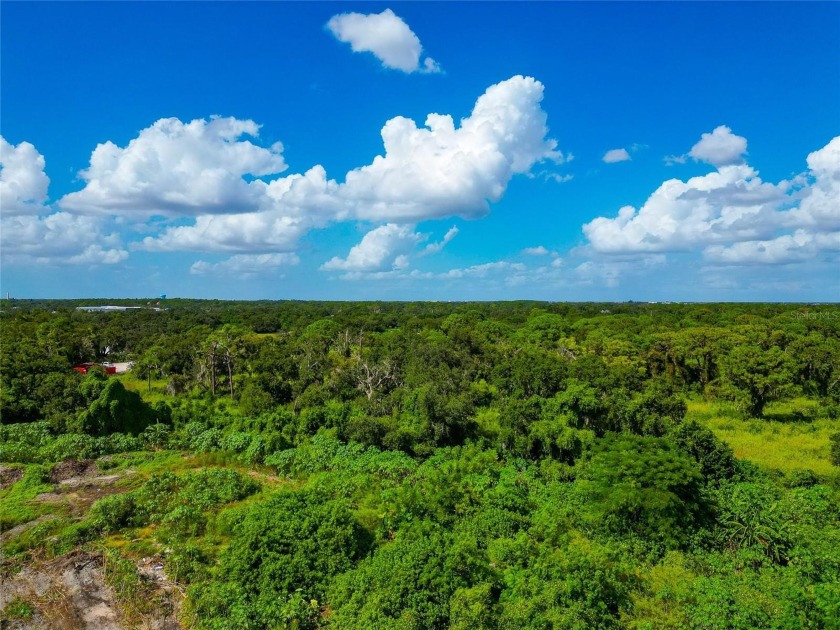 19.96 ACRES MINUTES FROM I-75 AND FRUITVILLE ROAD!!! Two - photo 14