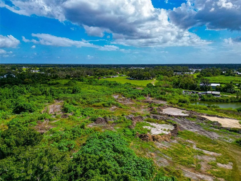 19.96 ACRES MINUTES FROM I-75 AND FRUITVILLE ROAD!!! Two - photo 21