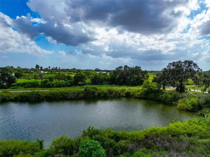 19.96 ACRES MINUTES FROM I-75 AND FRUITVILLE ROAD!!! Two - photo 29