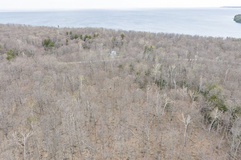 Beautifully wooded lot within a short distance to Waterview - photo 20