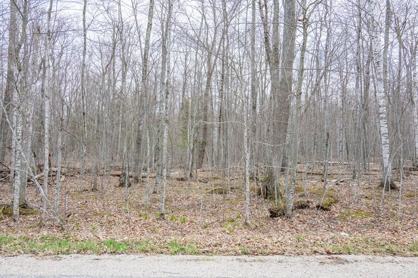 Beautifully wooded lot within a short distance to Waterview - photo 24