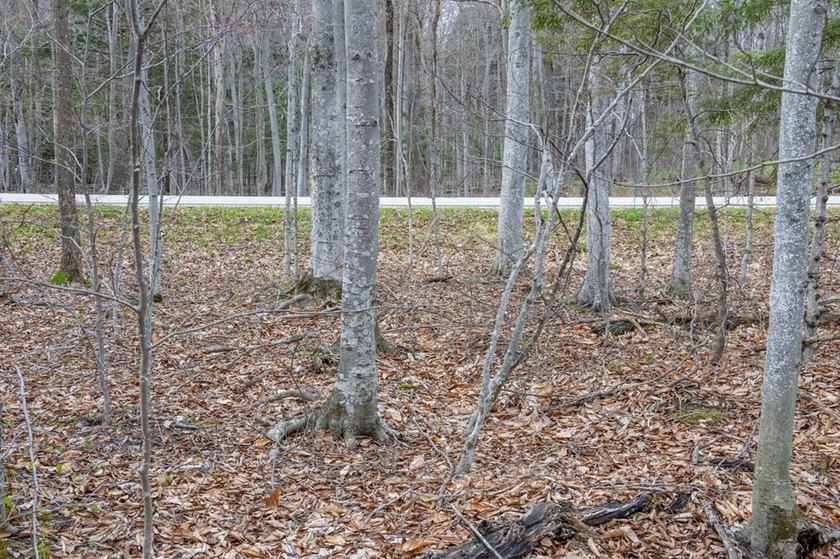Beautifully wooded lot within a short distance to Waterview - photo 26