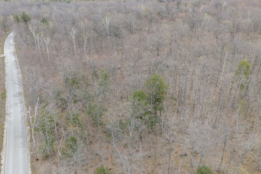Beautifully wooded lot within a short distance to Waterview - photo 28