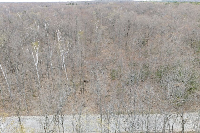 Beautifully wooded lot within a short distance to Waterview - photo 30