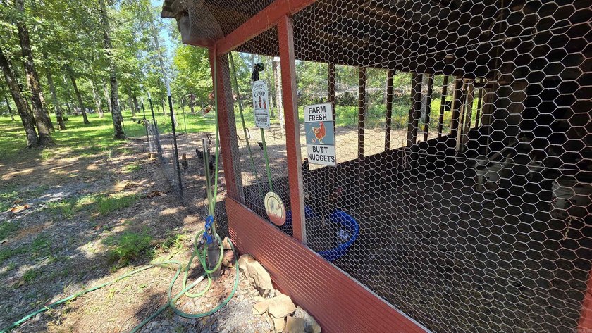 **Income-Producing RV Park &amp; Updated Home with Stocked Catfish - photo 40