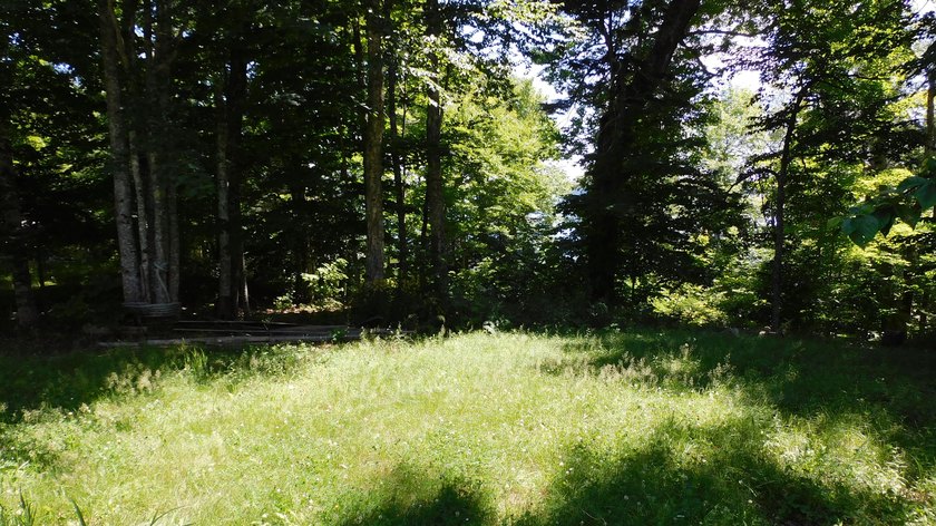 17 +/- acres with 700' +/- shorefront on Boyden's Lake with a - photo 3