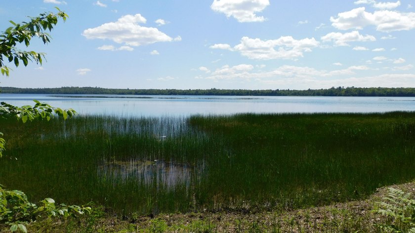17 +/- acres with 700' +/- shorefront on Boyden's Lake with a - photo 9