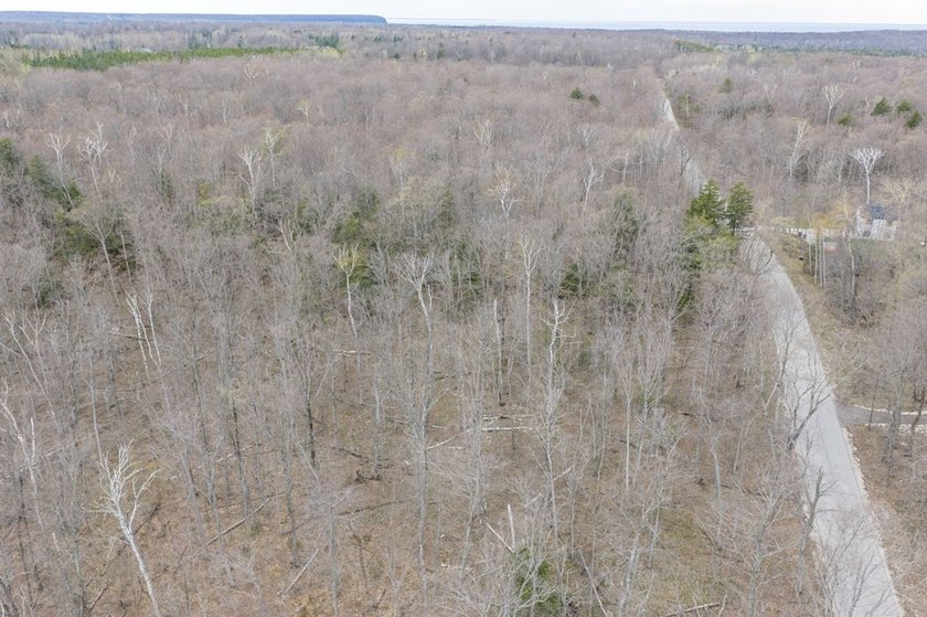 Beautifully wooded lot within a short distance to Waterview - photo 19