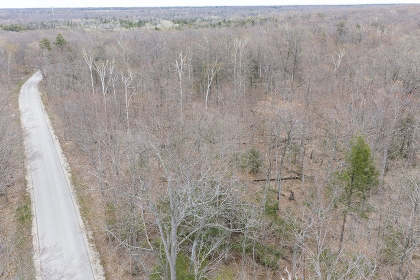Beautifully wooded lot within a short distance to Waterview - photo 29
