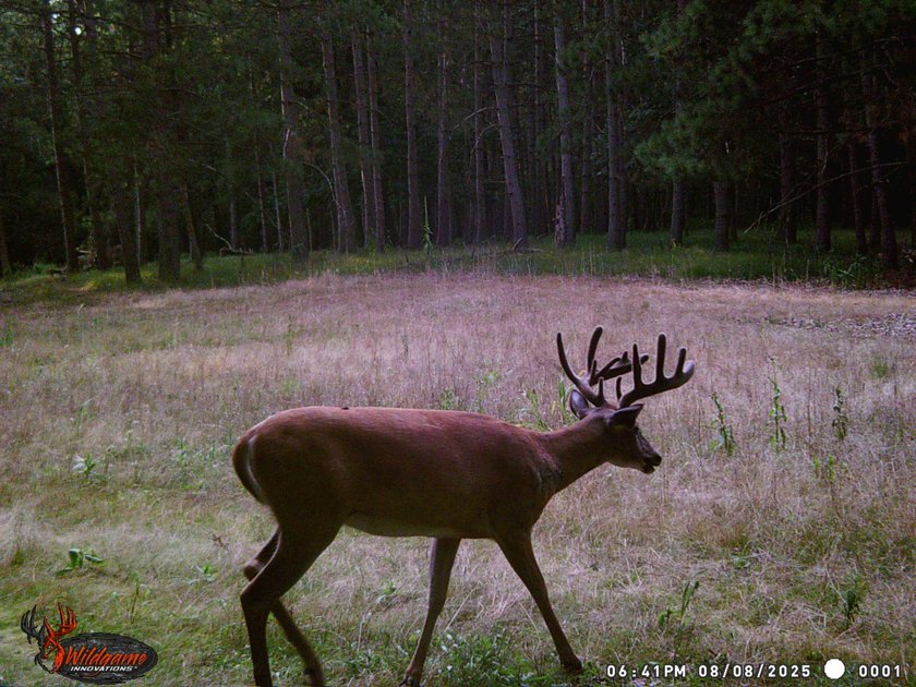 Discover one of Green Lake County's premier recreational - photo 13