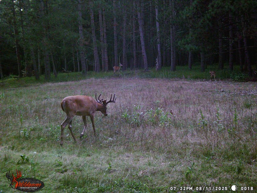 Discover one of Green Lake County's premier recreational - photo 17