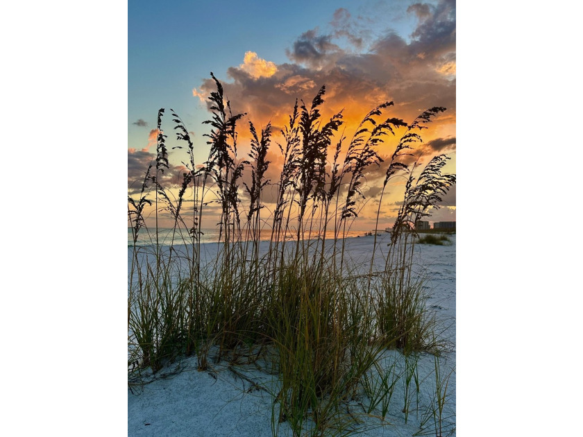Located one block from Crystal beach and move-in ready...a - photo 41